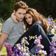 Illustration for article titled Five female directors will make Twilight shorts for Facebook